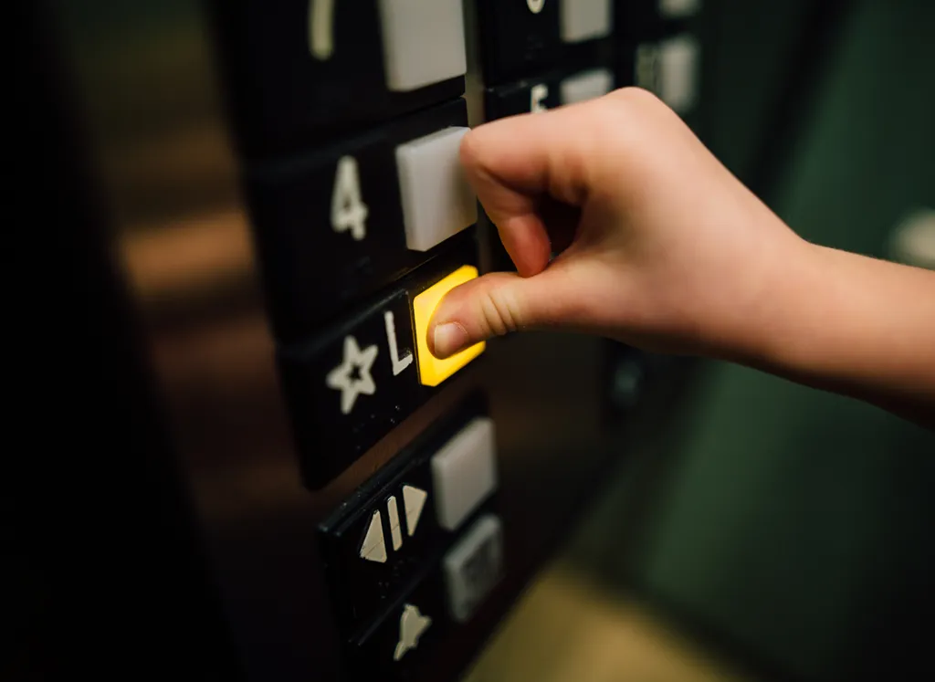 People working on laptops